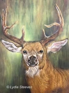 Majestic Stag CP Oline Class